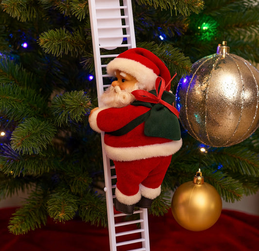 VIEJITO PASCUERO ESCALADOR | PASCUITO™