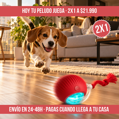 2x1 PUPPYGO™: DIVERTIDA PELOTA QUE SE MUEVE SOLA PARA MASCOTAS