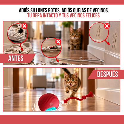 2x1 PUPPYGO™: DIVERTIDA PELOTA QUE SE MUEVE SOLA PARA MASCOTAS
