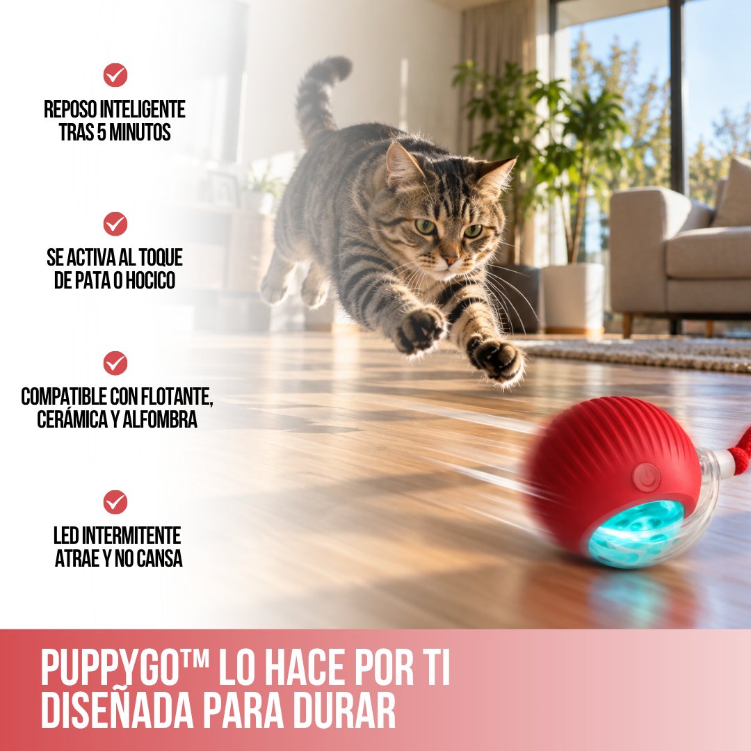 2x1 PUPPYGO™: DIVERTIDA PELOTA QUE SE MUEVE SOLA PARA MASCOTAS