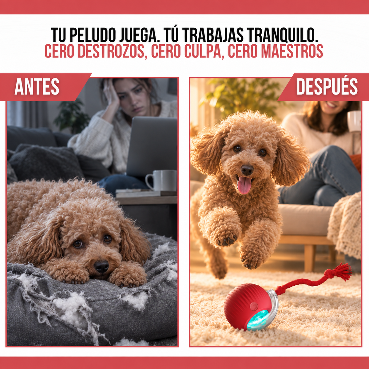 2x1 PUPPYGO™: DIVERTIDA PELOTA QUE SE MUEVE SOLA PARA MASCOTAS