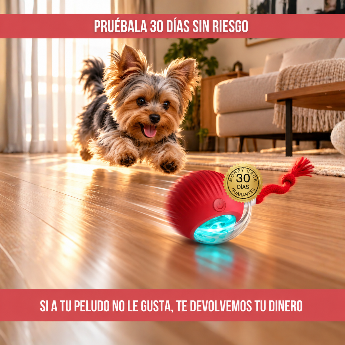 2x1 PUPPYGO™: DIVERTIDA PELOTA QUE SE MUEVE SOLA PARA MASCOTAS